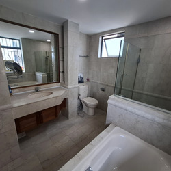 Twin Heights (D12), Apartment #502238771